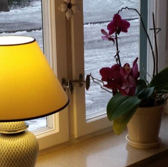 Fotos del hotel Lilla Hotellet:  16