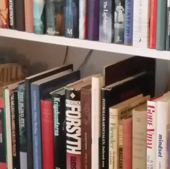 Fotos del hotel Lilla Hotellet:  10