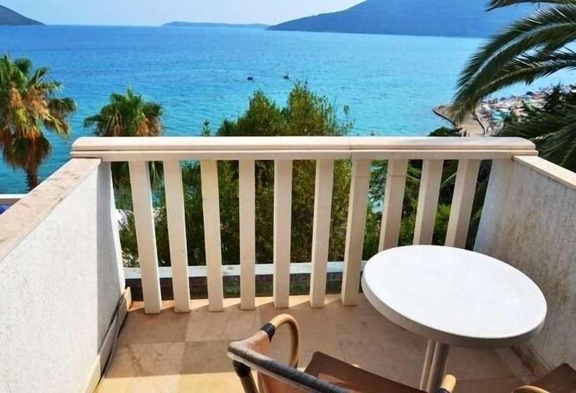 Fotos del hotel Garni Hotel Vila Aleksandar:  20