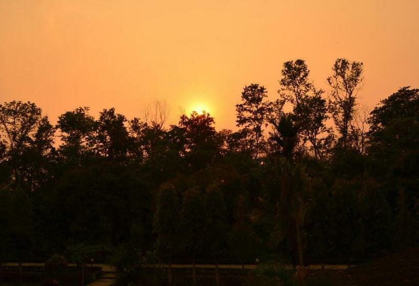 Fotos del hotel Hermitage:  10