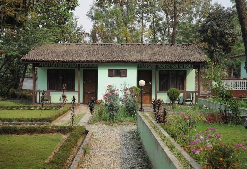 Fotos del hotel Hermitage:  25