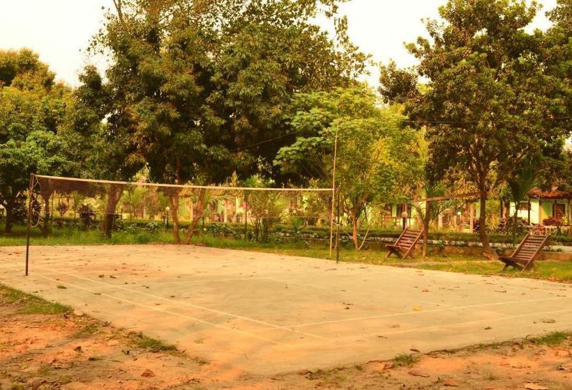 Fotos del hotel Hermitage:  5