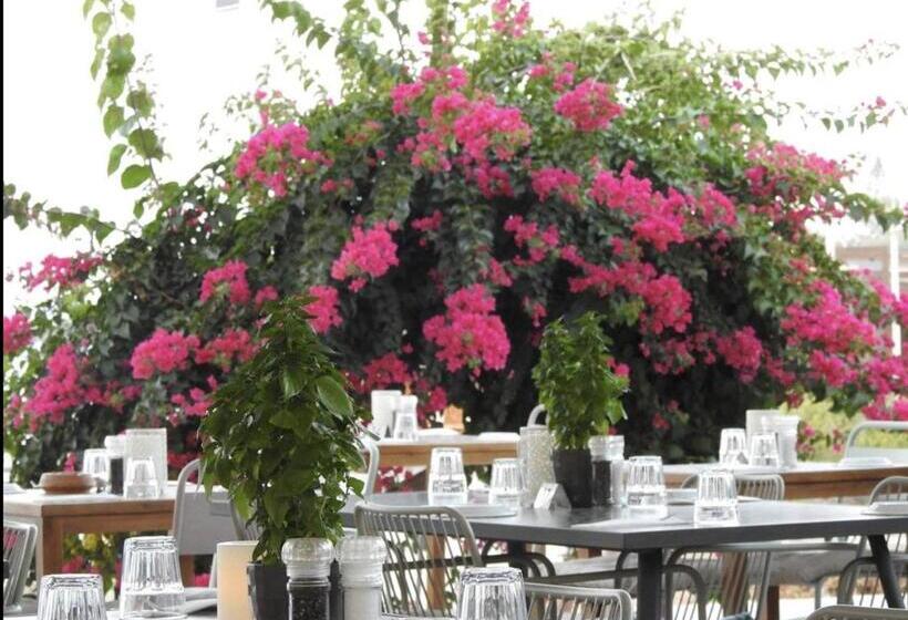 Fotos del hotel Blue Peter Apartments:  2