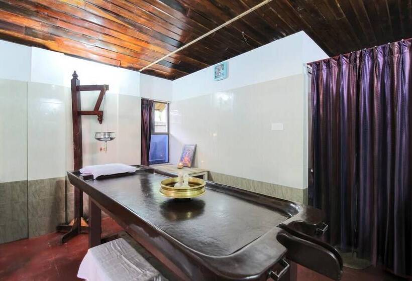 Fotos del hotel The Royal Heritage  And Ayurvedic Center:  24