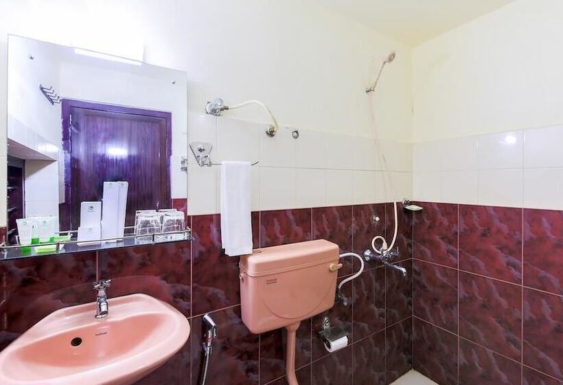 Fotos del hotel The Royal Heritage  And Ayurvedic Center:  7