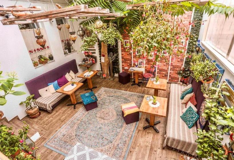 Fotos del hotel Eshe Boutique:  13