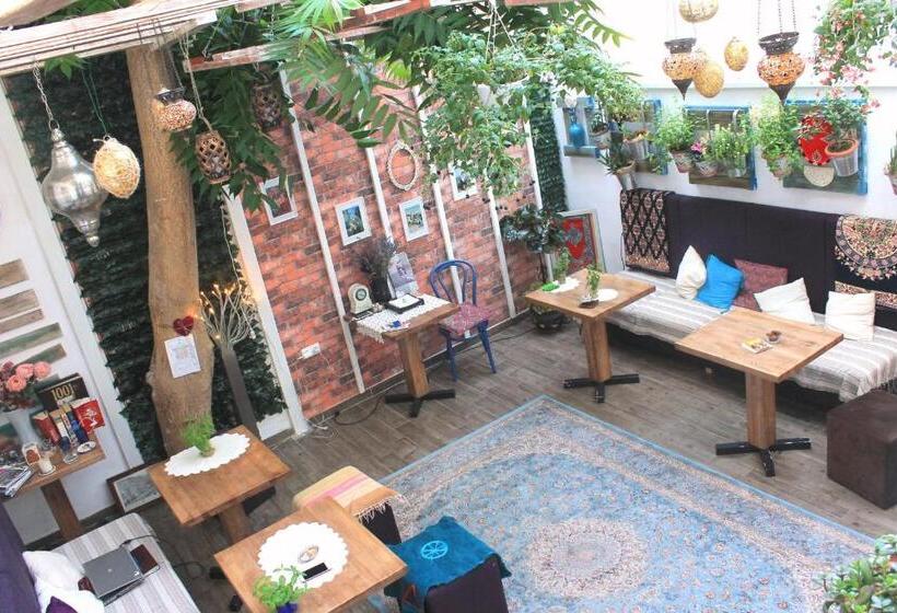 Fotos del hotel Eshe Boutique:  9