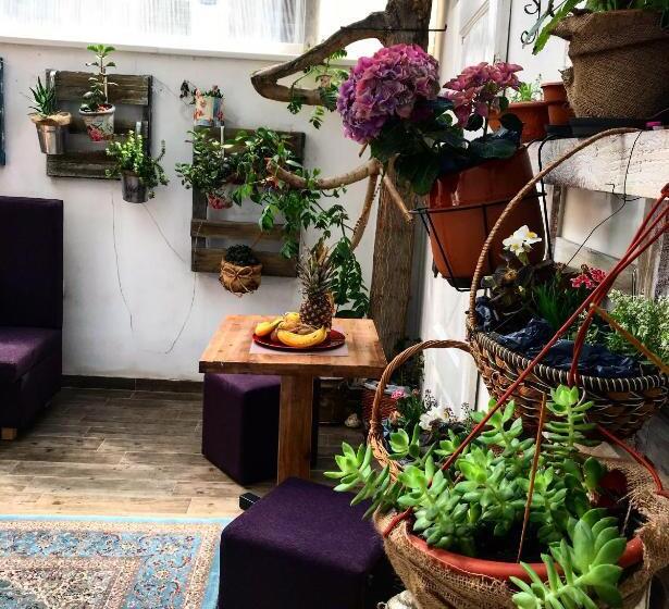 Fotos del hotel Eshe Boutique:  19