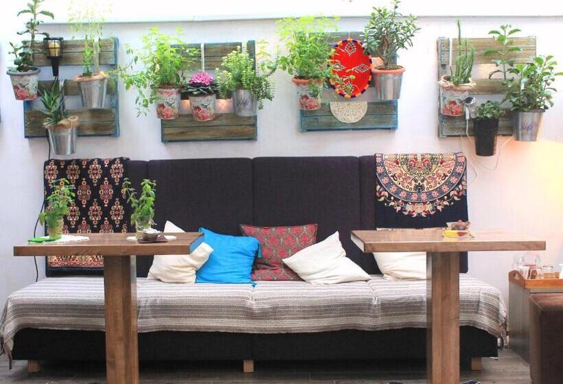 Fotos del hotel Eshe Boutique:  4