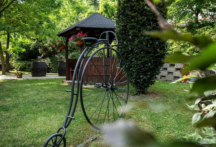 Fotos del hotel Pension Hattrick:  7