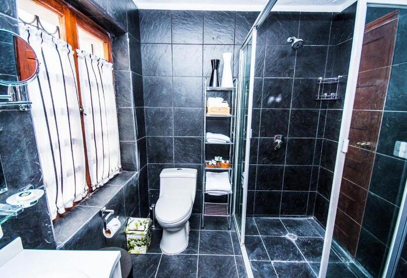 Fotos del hotel + Arte:  13