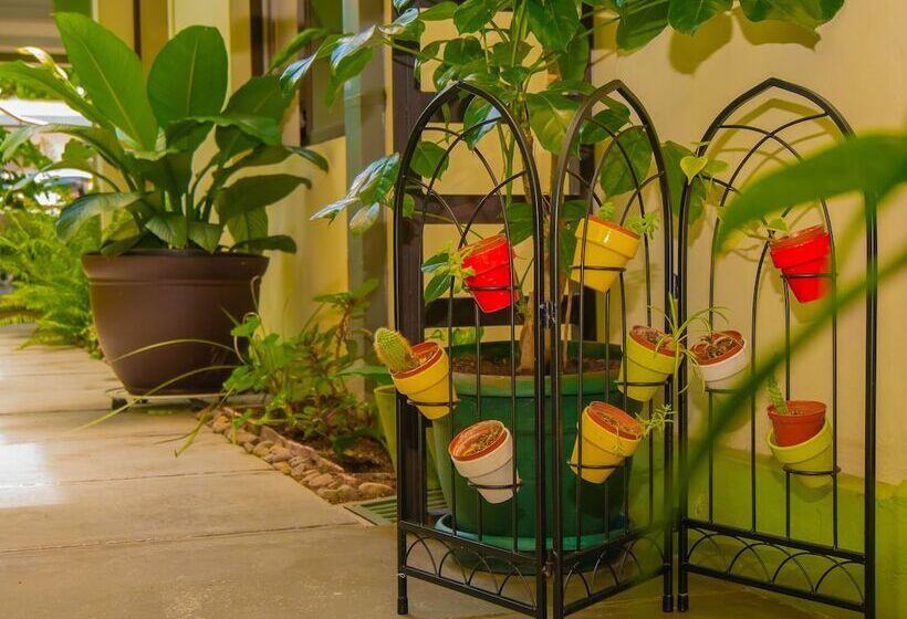 Fotos del hotel Bamboo Apart Aeropuerto:  11