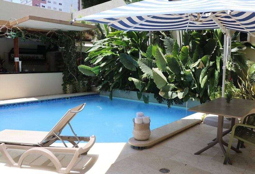 Fotos del hotel Blue Concept:  10