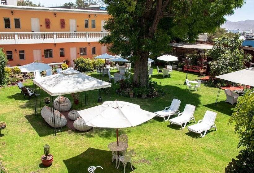 Fotos del hotel Casa De Avila:  18