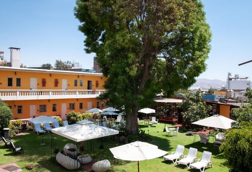 Fotos del hotel Casa De Avila:  19