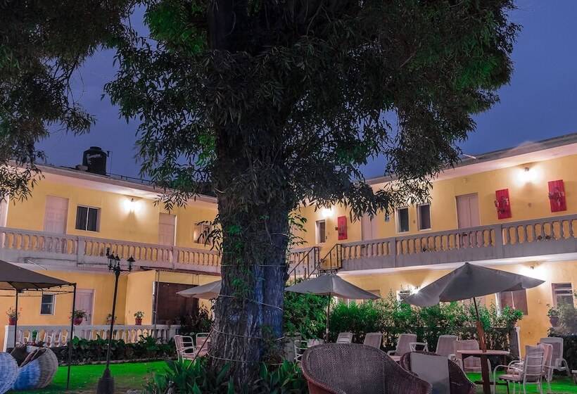 Fotos del hotel Casa De Avila:  21