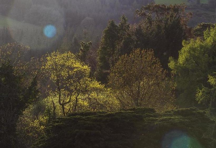 Fotos del hotel Mulvarra House:  22