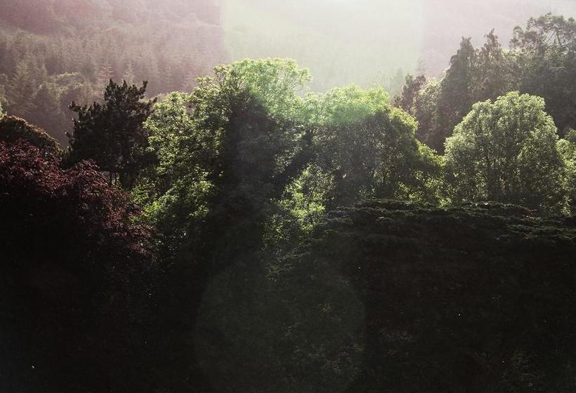 Fotos del hotel Mulvarra House:  20