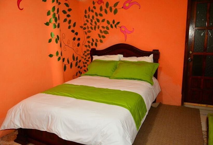 Fotos del hotel Rutun Orquídeas:  12