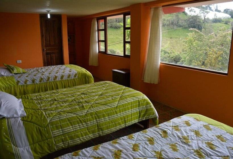 Fotos del hotel Rutun Orquídeas:  20