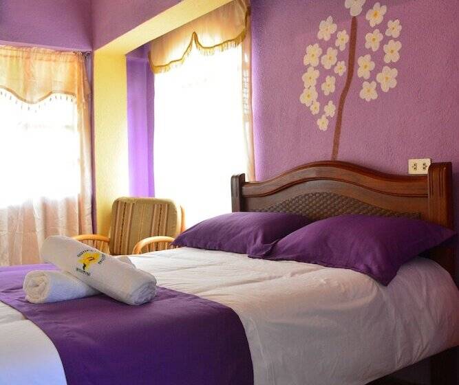 Fotos del hotel Rutun Orquídeas:  7