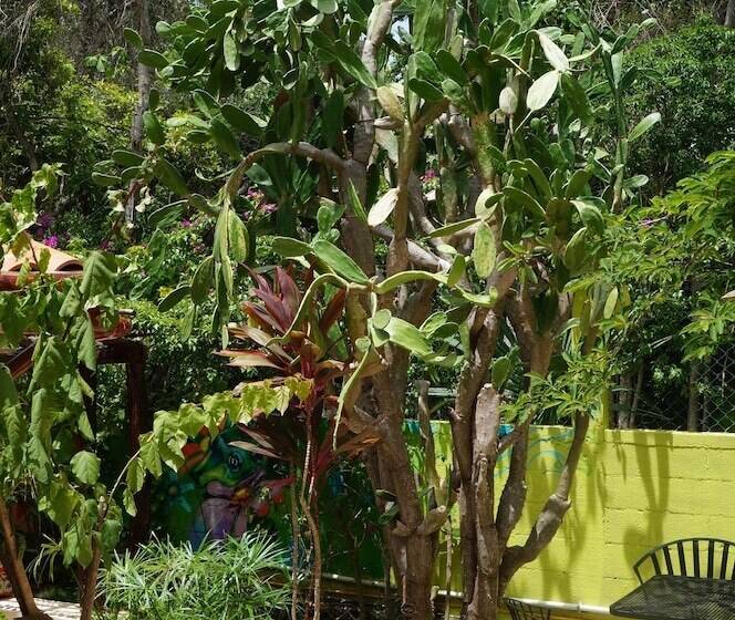 Fotos del hotel Villa Zena Liza:  11