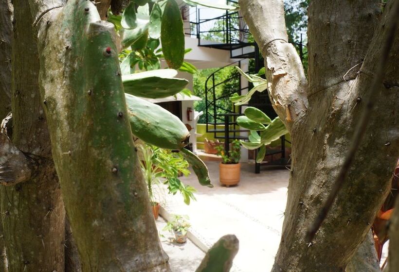 Fotos del hotel Villa Zena Liza:  9