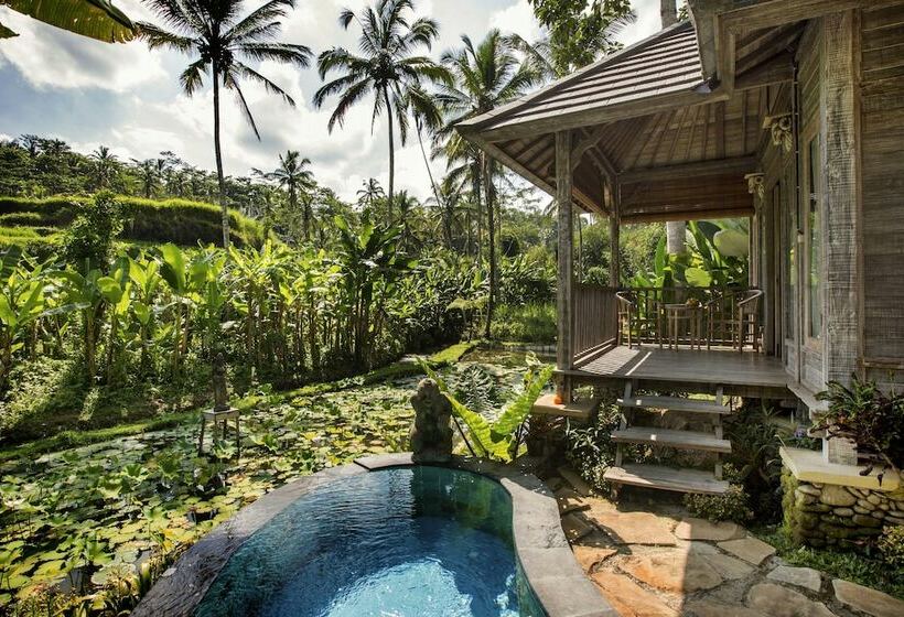 Fotos del hotel Pondok Sebatu Villa:  25