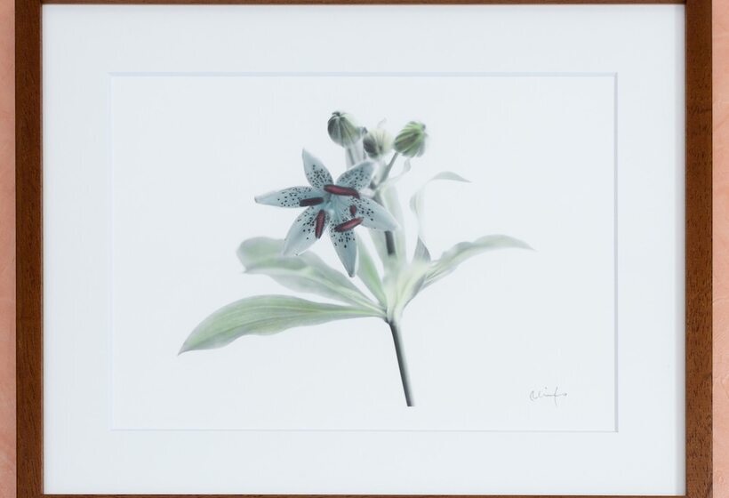 Fotos del hotel Sarasa  Namba:  10