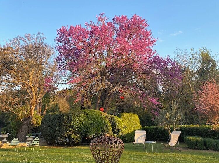 Fotos del hotel Hôtel Château De Palaja:  24