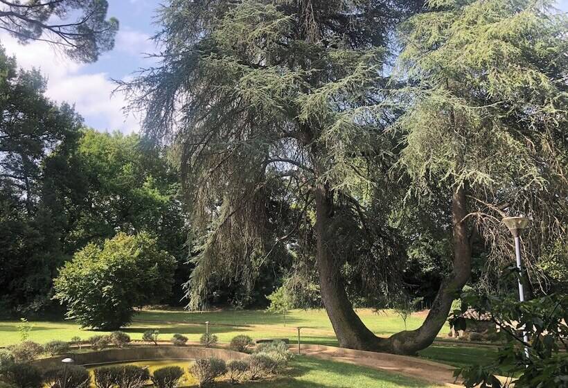 Fotos del hotel Hôtel Château De Palaja:  11