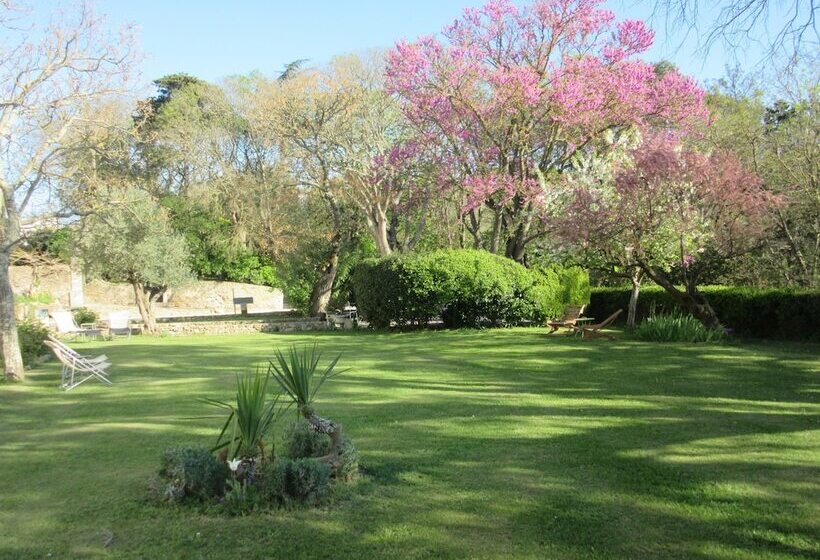 Fotos del hotel Hôtel Château De Palaja:  21