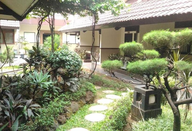 Fotos del hotel D'arcici Plumpang:  23