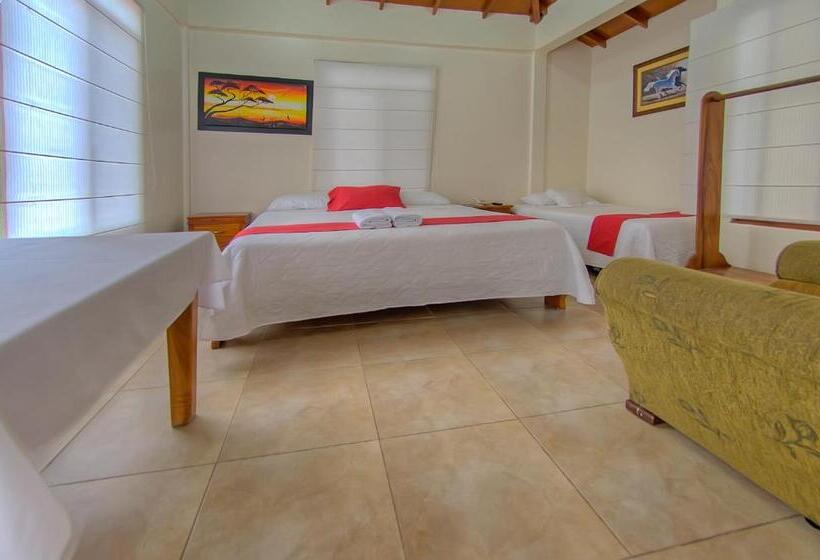 Fotos del hotel San Vicente Galapagos:  22