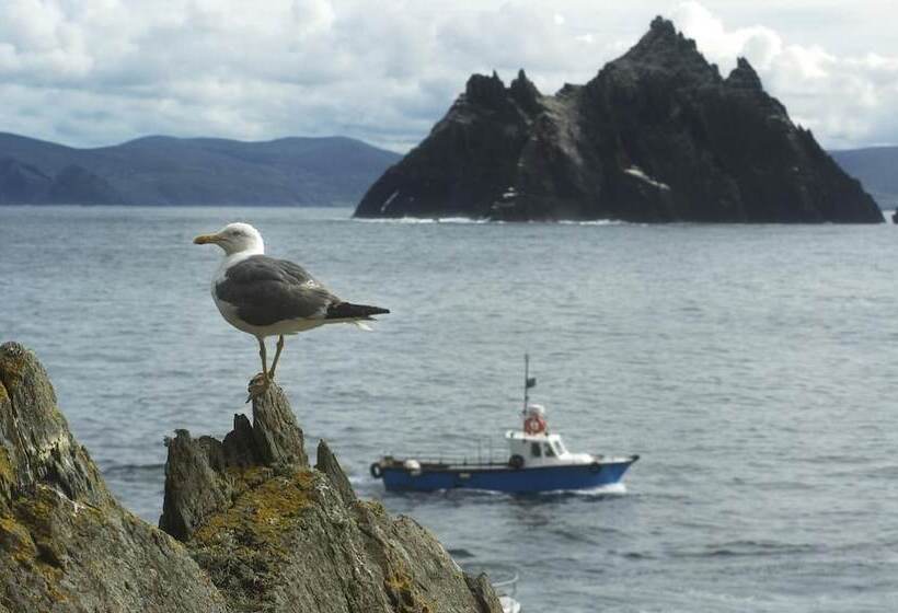 Fotos del hotel Ardree House B&b:  12