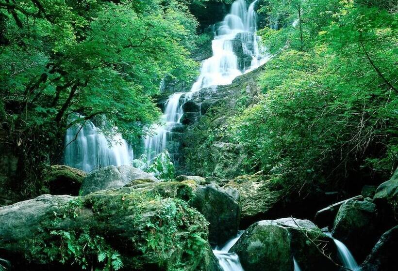 Fotos del hotel Ardree House B&b:  9