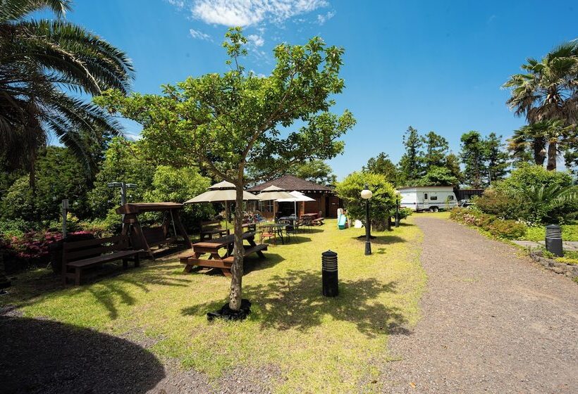 Fotos del hotel Jeju M Resort:  25