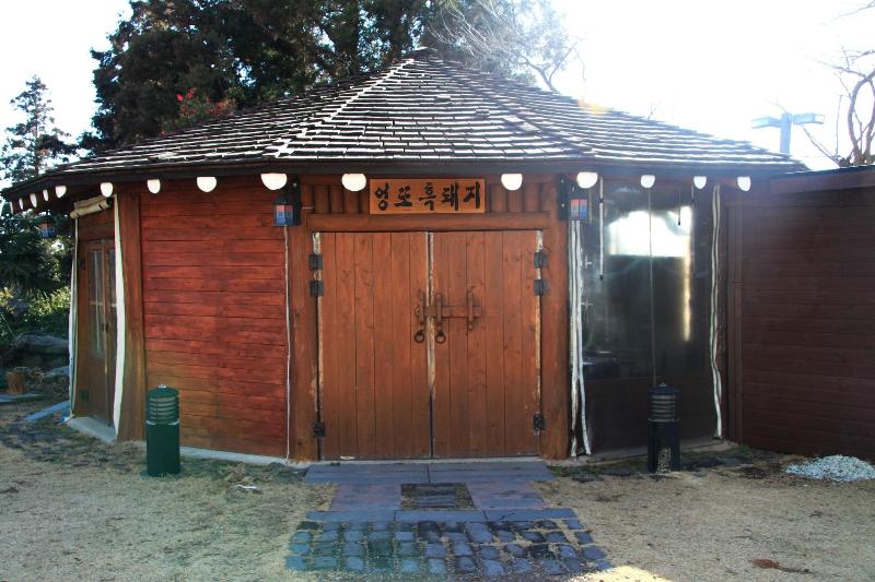 Fotos del hotel Jeju M Resort:  5