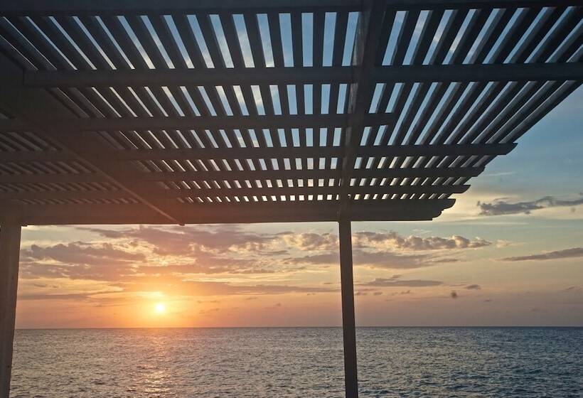 Fotos del hotel Lands End:  20