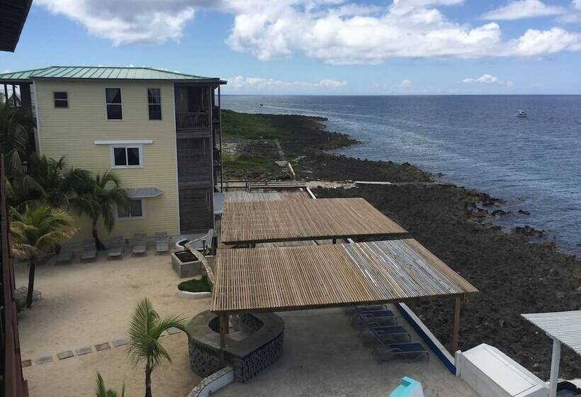 Fotos del hotel Lands End:  19