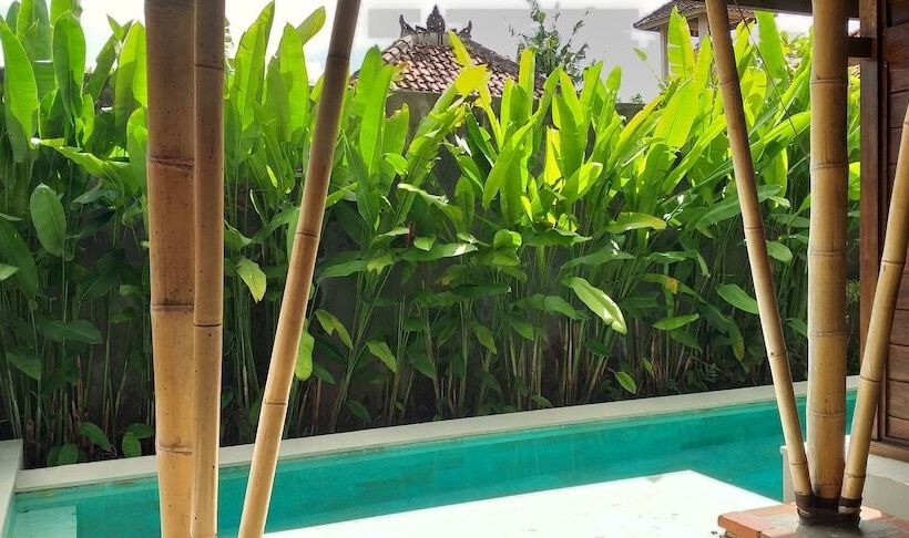 Fotos del hotel Sri Abi Ratu Villa:  21