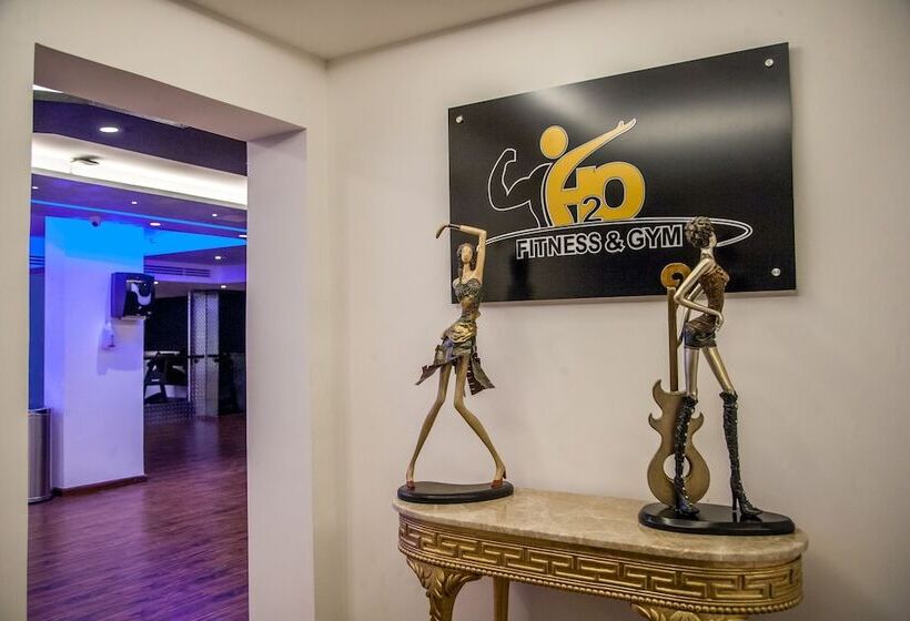 Fotos del hotel Harir Palace:  17