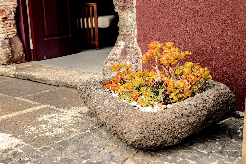 Fotos del hotel Solar Bom Jesus:  15