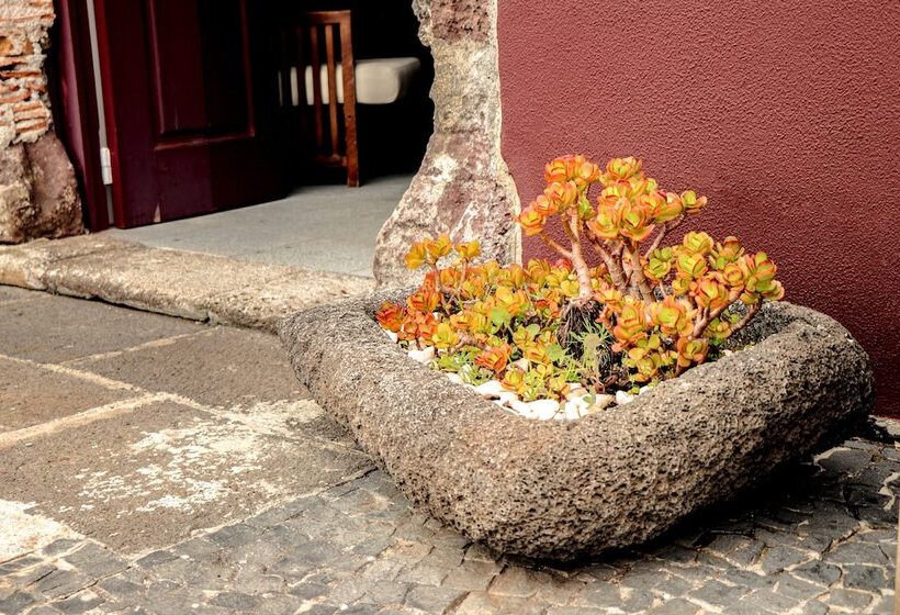 Fotos del hotel Solar Bom Jesus:  23