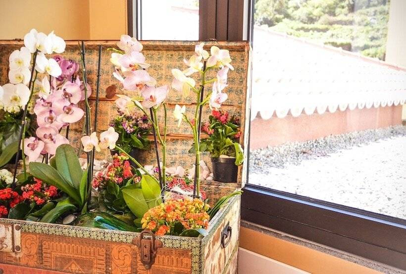 Fotos del hotel Solar Bom Jesus:  16