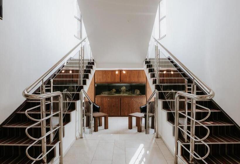 Fotos del hotel Bonaparte:  2