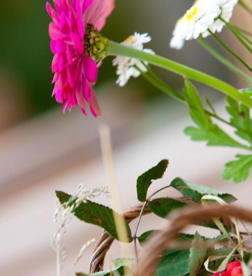 Fotos del hotel Bloberger Hof:  6