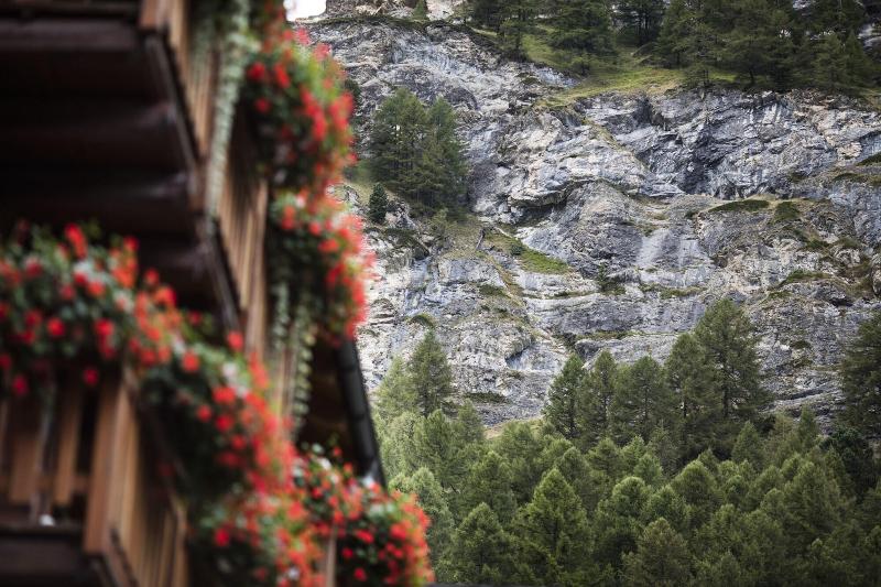 Fotos del hotel Continental:  14