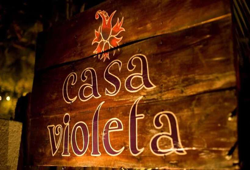 Fotos del hotel Casa Violeta:  3