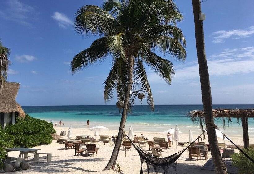 Fotos del hotel Casa Violeta:  6